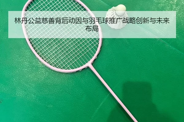 林丹公益慈善背后动因与羽毛球推广战略创新与未来布局