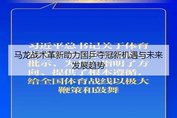 马龙战术革新助力国乒夺冠新机遇与未来发展趋势